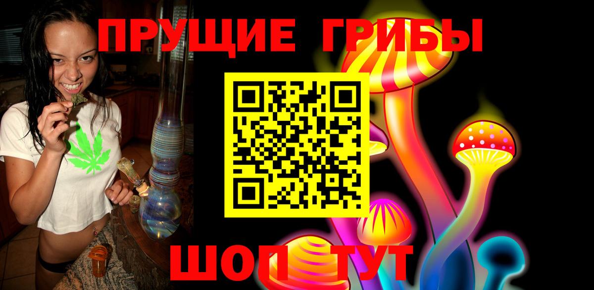 Псилоцибиновые грибы Cubensis Калуга