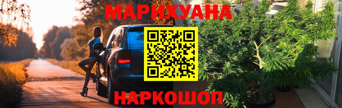 Конопля индика Калуга